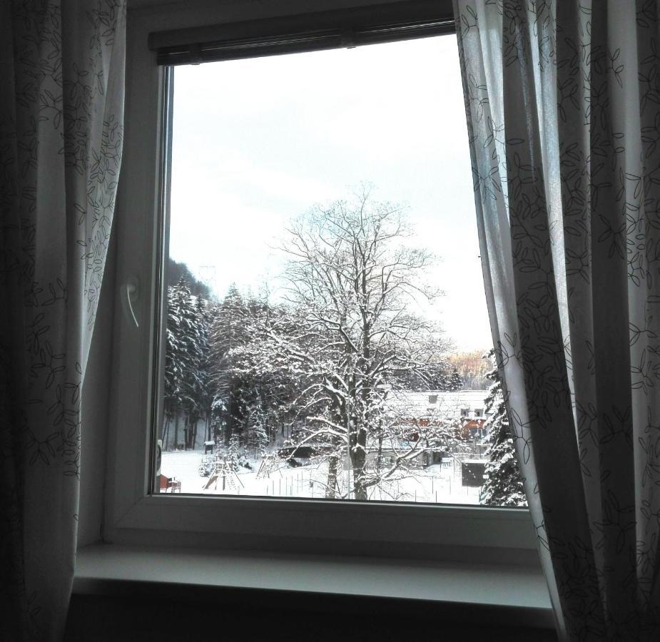 A34 Appartement Loučná nad Desnou Buitenkant foto